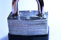 Ensayo libre del SDS